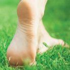 Cantharidin for warts