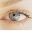 eyelid